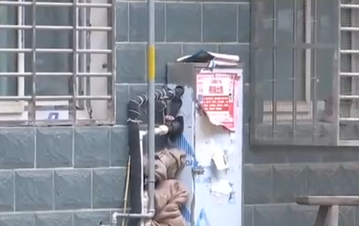 自來水管道保溫電伴熱帶，冬季管道防凍新寵(圖2)